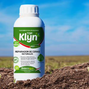 TOP KLYN