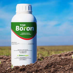 TOP BORON