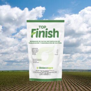 TOP FINISH